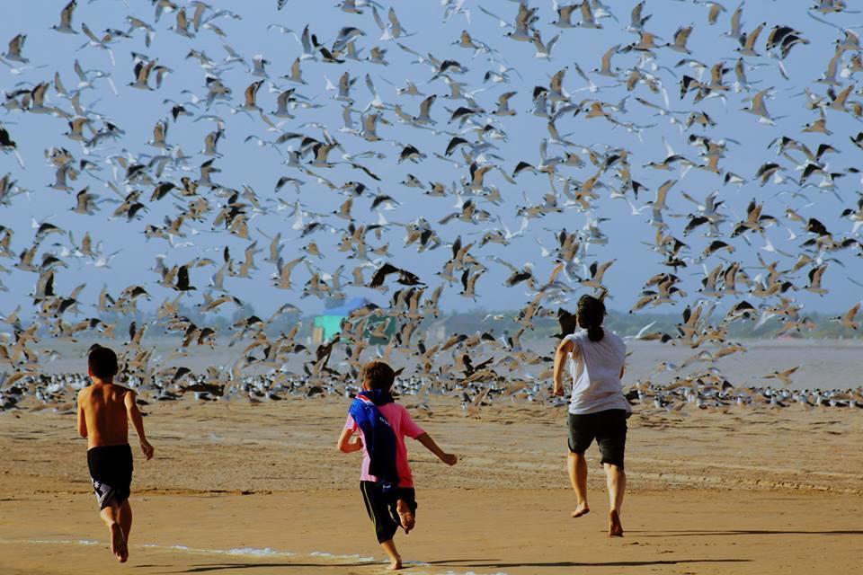 Guesthouse Playa Chinchorro Arica Luaran gambar